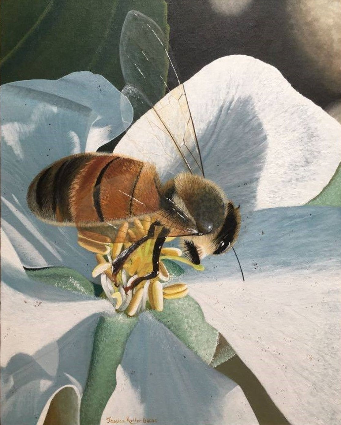 A 16”x20” acrylic painting of a honeybee on the center of an apple blossom.