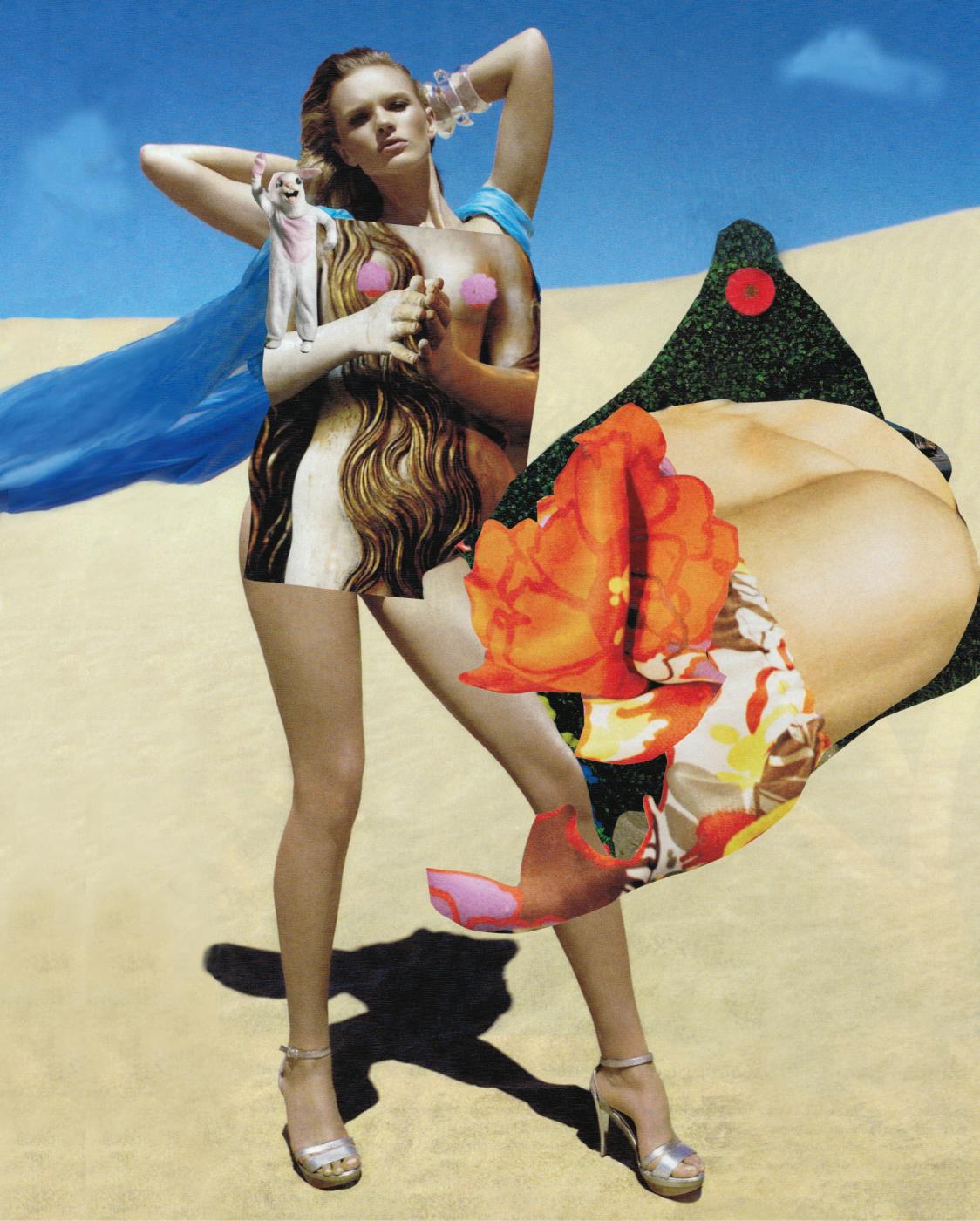 he collage is a mix of realism and abstraction. A female figure stands in front of a desert dune with a blue sky behind her. A cape attached to her shoulders blows out to the left in the light breeze. Her hands are held behind her head while another set of hands come forward in front of her chest. Her waist long wavy hair streams across her chest and down to her groin. Her breasts are covered by pink flowers. She wears silver high heels. A small humanesque rabbit stands on one of her arms waving hello. An a