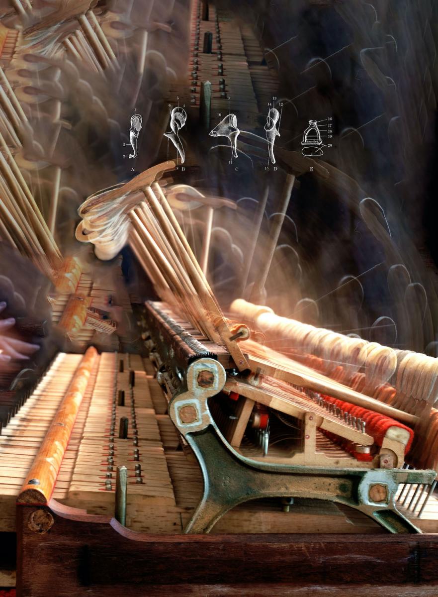 The photograph is a composite of a side view of the piano hammers removed from the box so that the hardware is visible. In the negative space around the hammer the details are replicated. Overlaid this pattern is a vintage illustration of the hammer, incus, and stapes bones of the human inner ear.