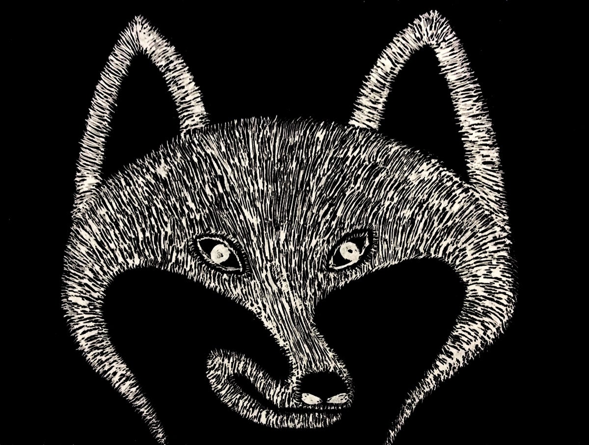 I made an image of fox on a 7 x 5inch scratchboard, a white clay paper with a layer of black India ink. Using a stylus pen I scratched away the ink to reveal the white underneath while designing the fox. Depending on the pressure of the stylus you can get different shades of white and gray. I used a lot of heavy white lines for the fur of the fox and left a lot of the surrounding area untouched. The area around the nose and neck are untouched, giving the fox a dramatic affect.