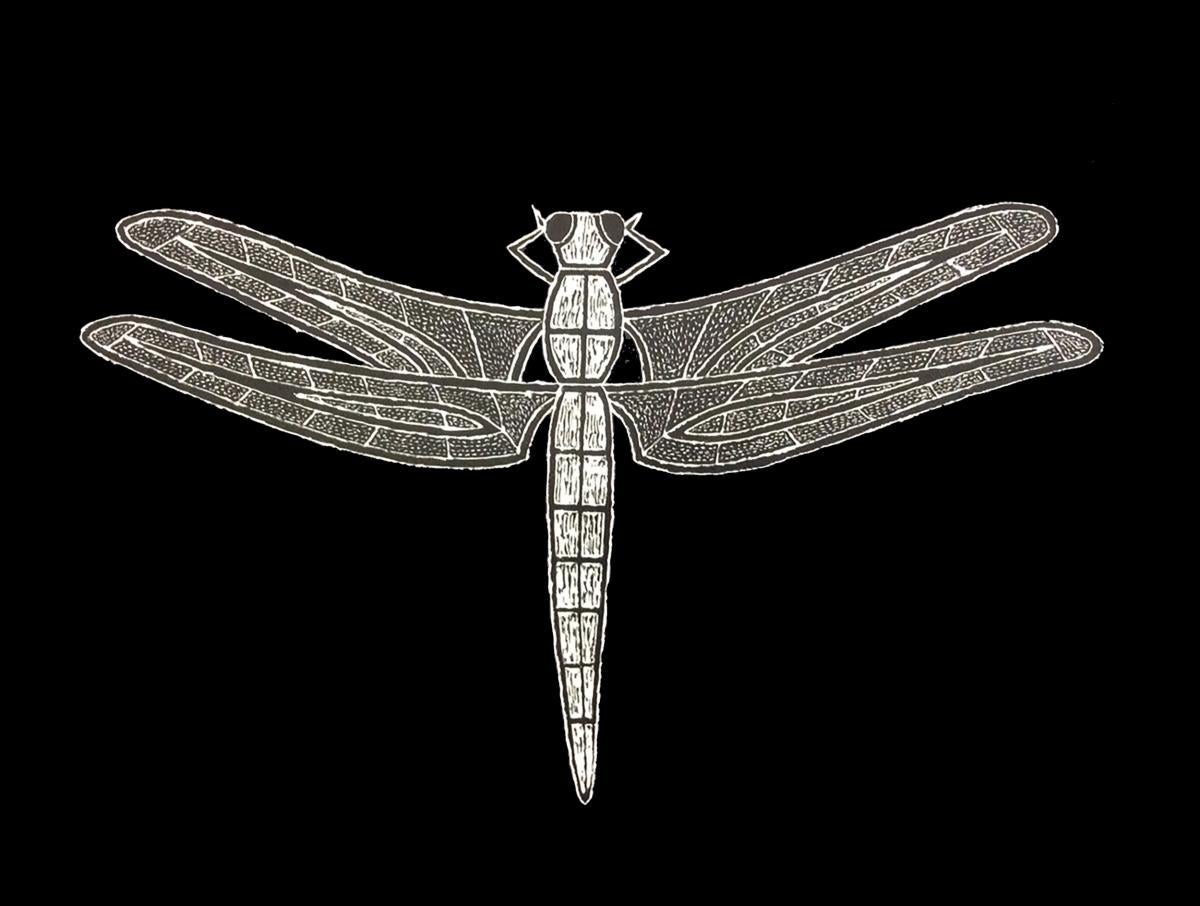 I made an image of dragonfly on a 10 x 14inch scratchboard, a white clay paper with a layer of black India ink. Using a stylus pen I scratched away the ink to reveal the white underneath while designing the dragonfly. Depending on the pressure of the stylus you can get different shades of white and gray. I left the dragonfly’s eyes black and in the center body I scratched with a lot of pressure to give the body form. Using various fine white lines, I filled in the wings to recreate feel of a dragonfly’s win
