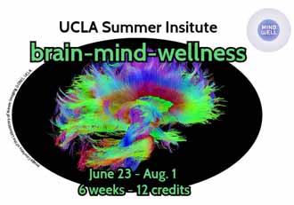 brain-mind-wellness