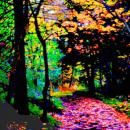 A color photograph depicting an autumn nature scene in Lithia Park, Oregon. The camera focuses on a tree lined path with colorful autumn leaves covering much of the path. 