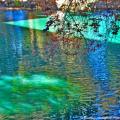 Evergreen tree colors of green and blue hues are reflected on the surface of the pond.  The pond has movement of the water. The shades of a tree branches have autumn colors of red and gold leaves... The nearby buildings create a large shadow on this serene pond.